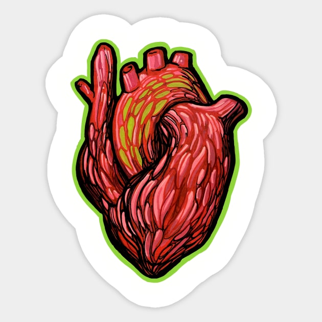 Anatomical Heart Sticker by TimPangburn